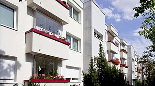 Außenaufnahme der Hausfassade mit bepflanzten Balkonen im Bernshausener Innenring.